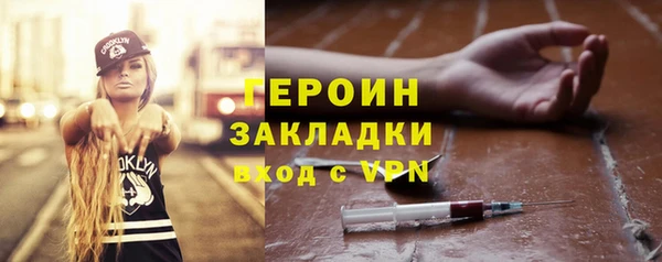 гашик Тайга