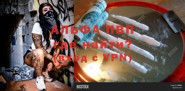 гашик Тайга