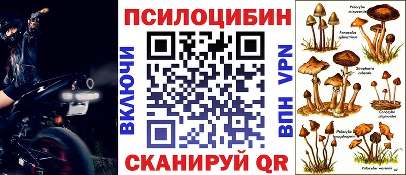 Псилоцибиновые грибы MAGIC MUSHROOMS  Купить закладки  Пермь 